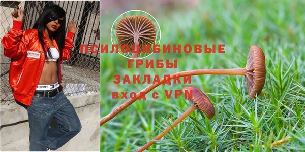 прущая мука Богородск