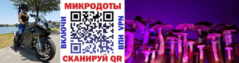 Галлюциногенные грибы мухоморы  Купить  Елабуга 